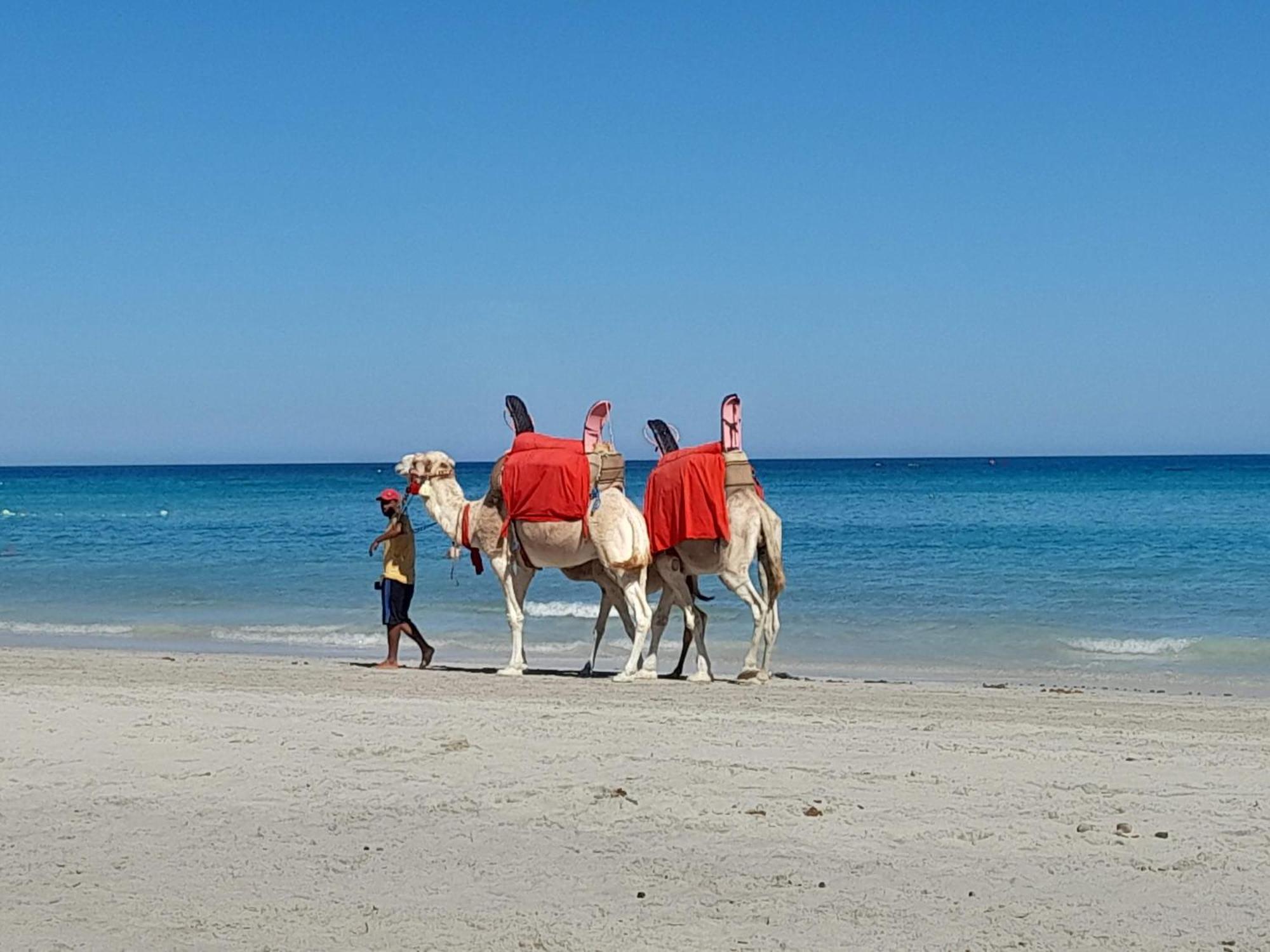 Готель Dar El Kahina Djerba Mezraia Екстер'єр фото